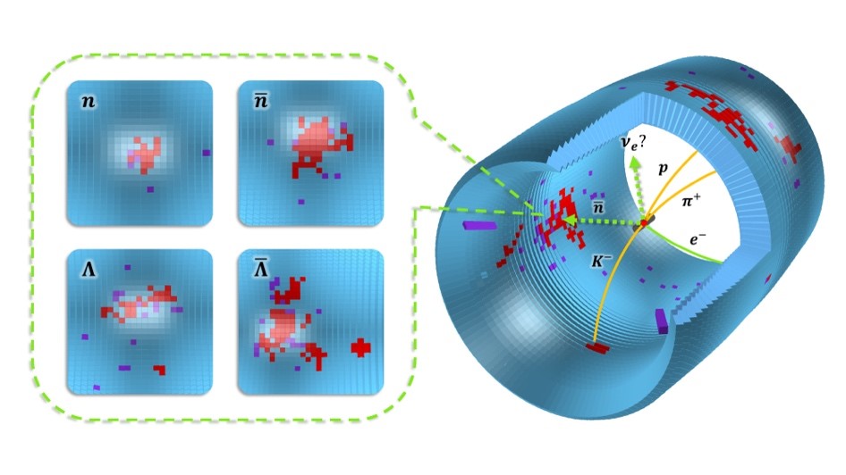 Machine-learning-driven observation of the elusive semi-leptonic decay of charmed baryon