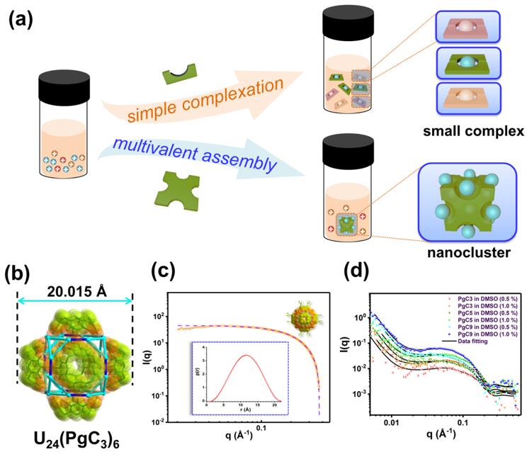 Nano-extraction of actinides based on in situ assembled