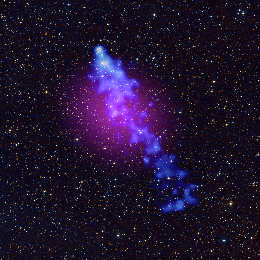 Einstein Probe and LHAASO Reveal a 42-light-year Directed Journey of Cosmic Rays