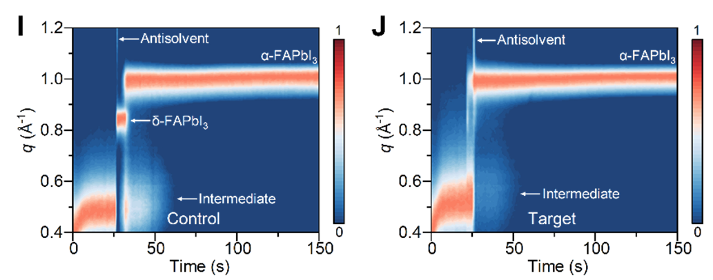 Synchrotron Insights Unlock Prussian Blue-mediated Stabilization of Scalable Perovskite Photovoltaics